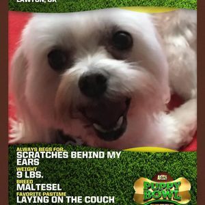 Meet your Posher, Mary t